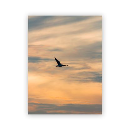 Pájaro volando en el atardecer