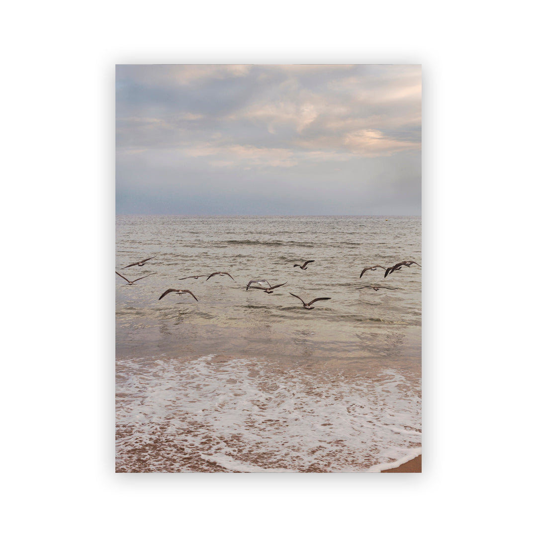 Paisaje de gaviotas en la playa